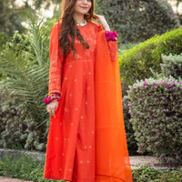 Spunky Rust Color with Classy Embroidery Suit